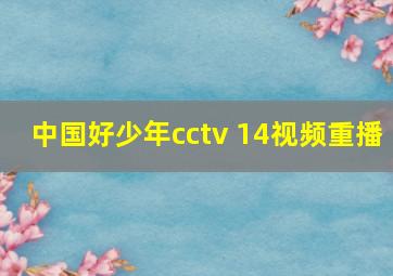 中国好少年cctv 14视频重播